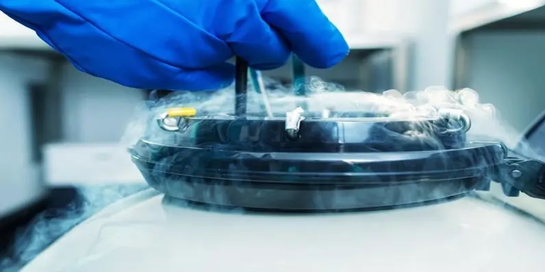 Know More About Frozen Embryo Transfer Process Know More About Frozen Embryo Transfer Process