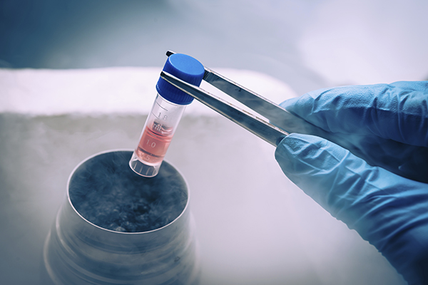 embryo cryopreservation in India