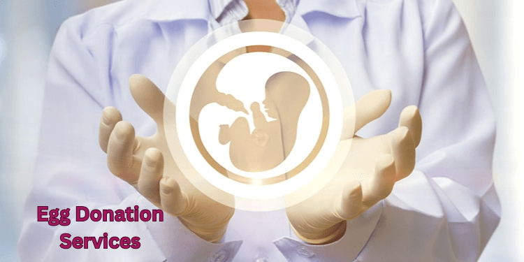 Egg Donation Services