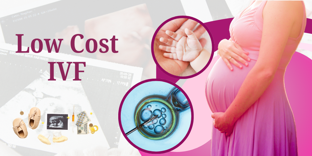 Low Cost IVF